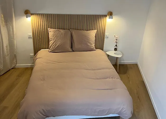 Lägenhet L'appart Cosy 52m2 Avec Local A Velo Pres Du Canal Du Midi *